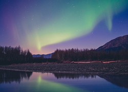 Alaska: Retro Ikki Qavatli Avtobusda Sayohat va Temza Daryosi